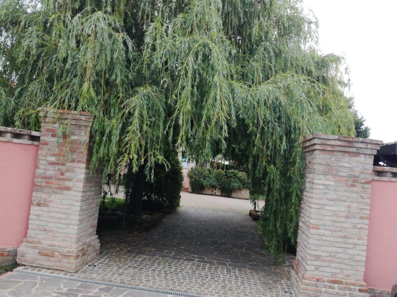 Agriturismo Ferretti Massa Lombarda Ngoại thất bức ảnh